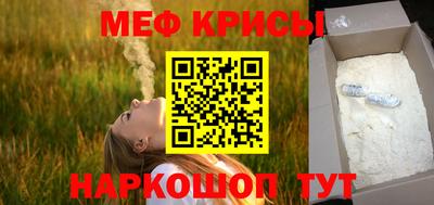 амф Кингисепп