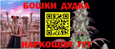 гашик Кинель