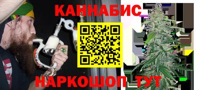 амф Кингисепп