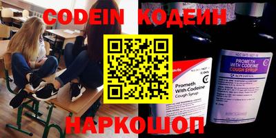 амф Кингисепп