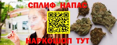 spice Кимры