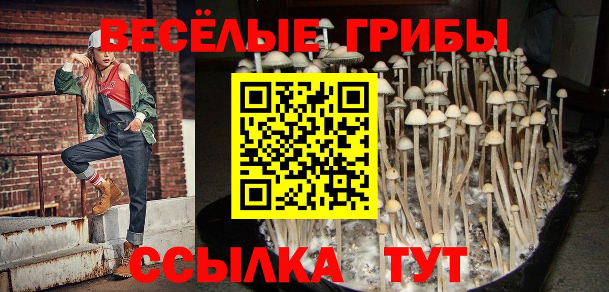Лабинск  Псилоцибиновые грибы мухоморы  Вход с VPN  Галлюциногенные грибы Magic Shrooms 