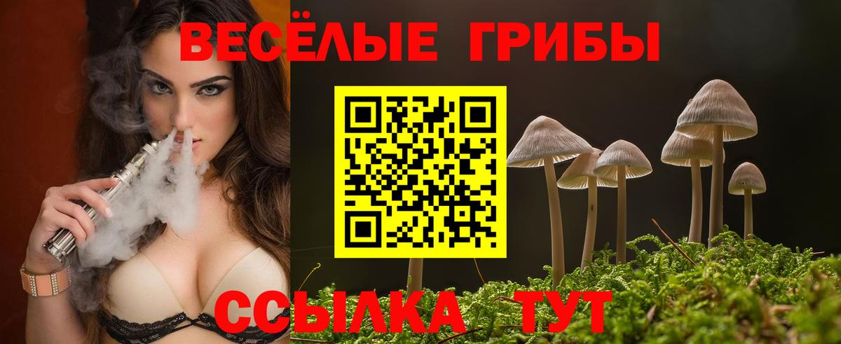 Псилоцибиновые грибы мухоморы Лабинск